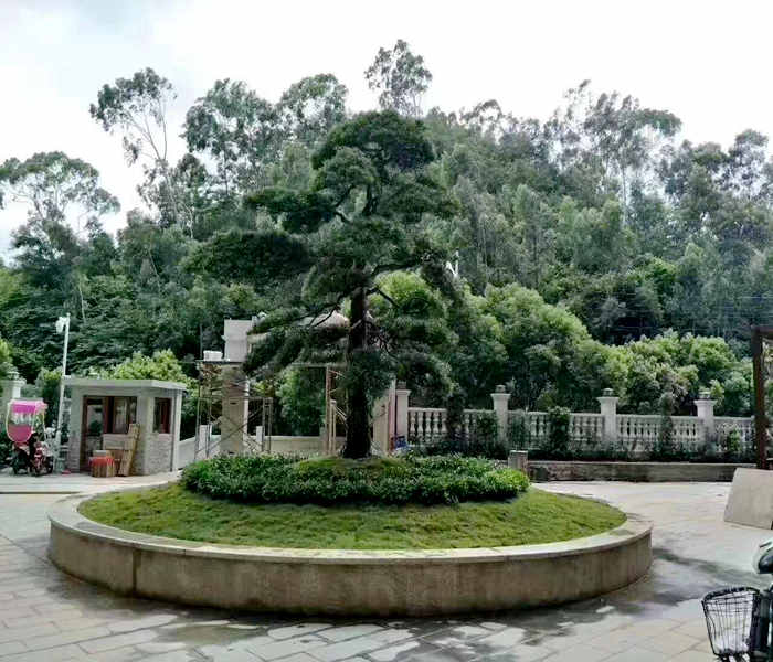 長安小產(chǎn)權價格